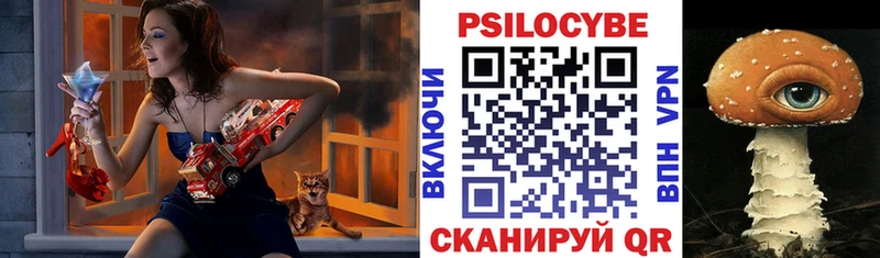 Галлюциногенные грибы Psilocybine cubensis  Светлый 